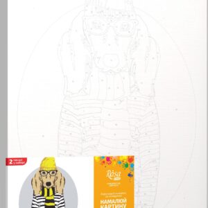 Standard Kit, painting by numbers, „ Fashion Cat“, 35х45cm, ROSA START